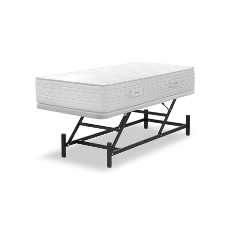 Standard Lifting System